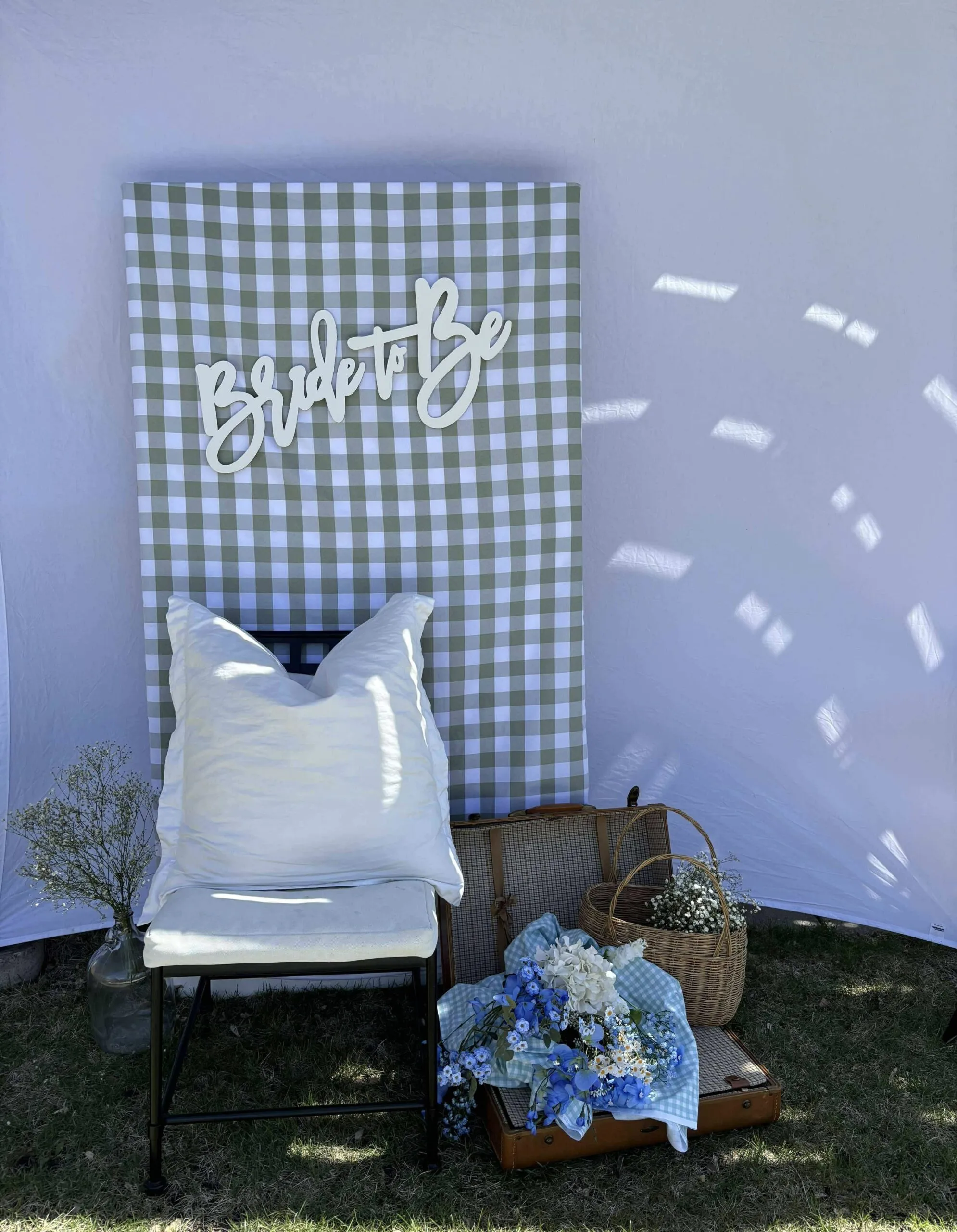 Backdrops — photo 2