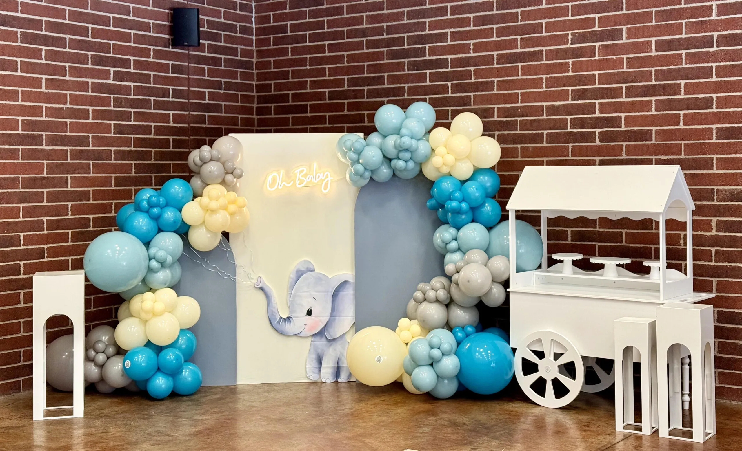 Baby Showers & Gender Reveal by Party Perfect MN