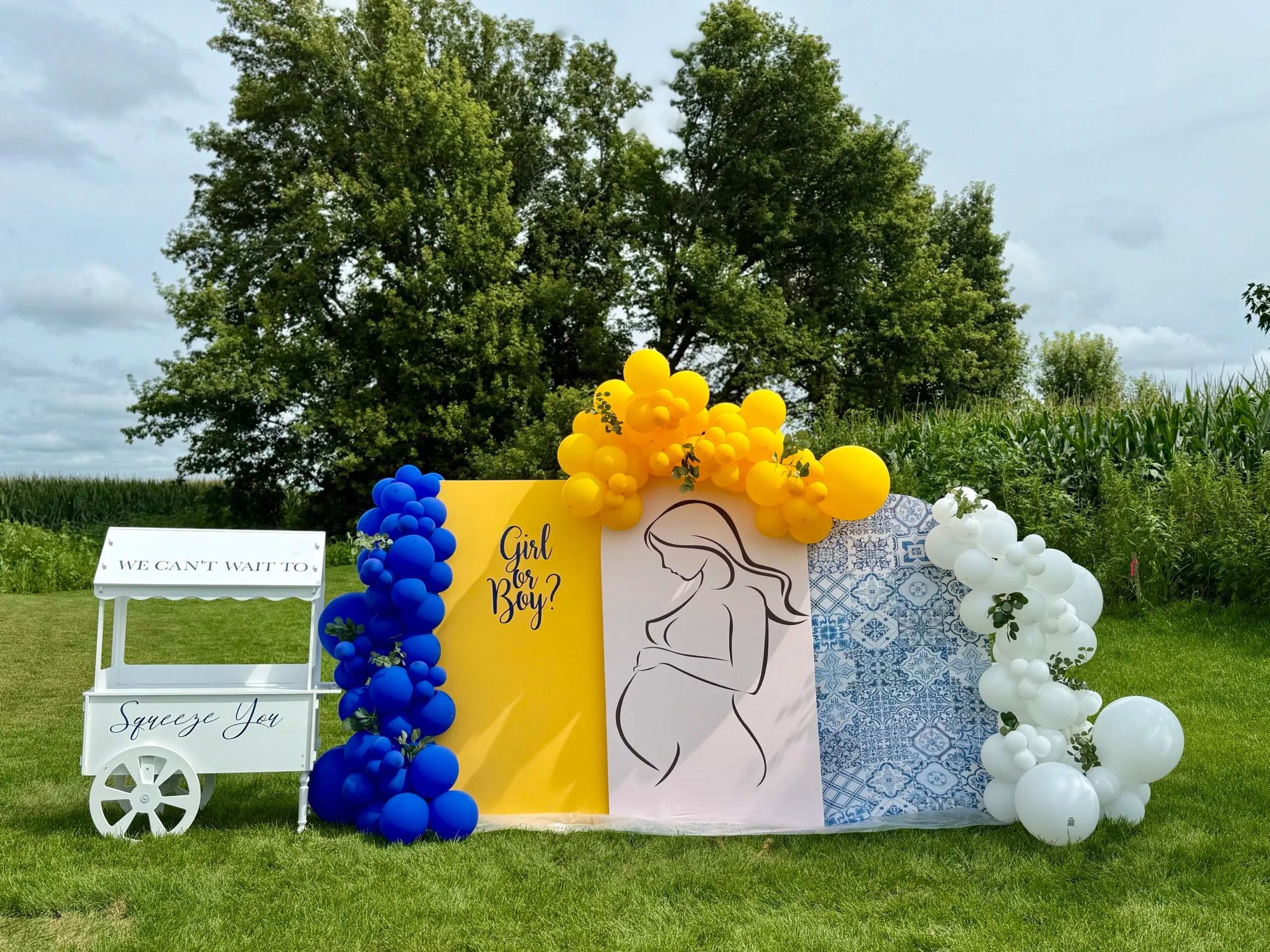 Baby Shower — photo 6