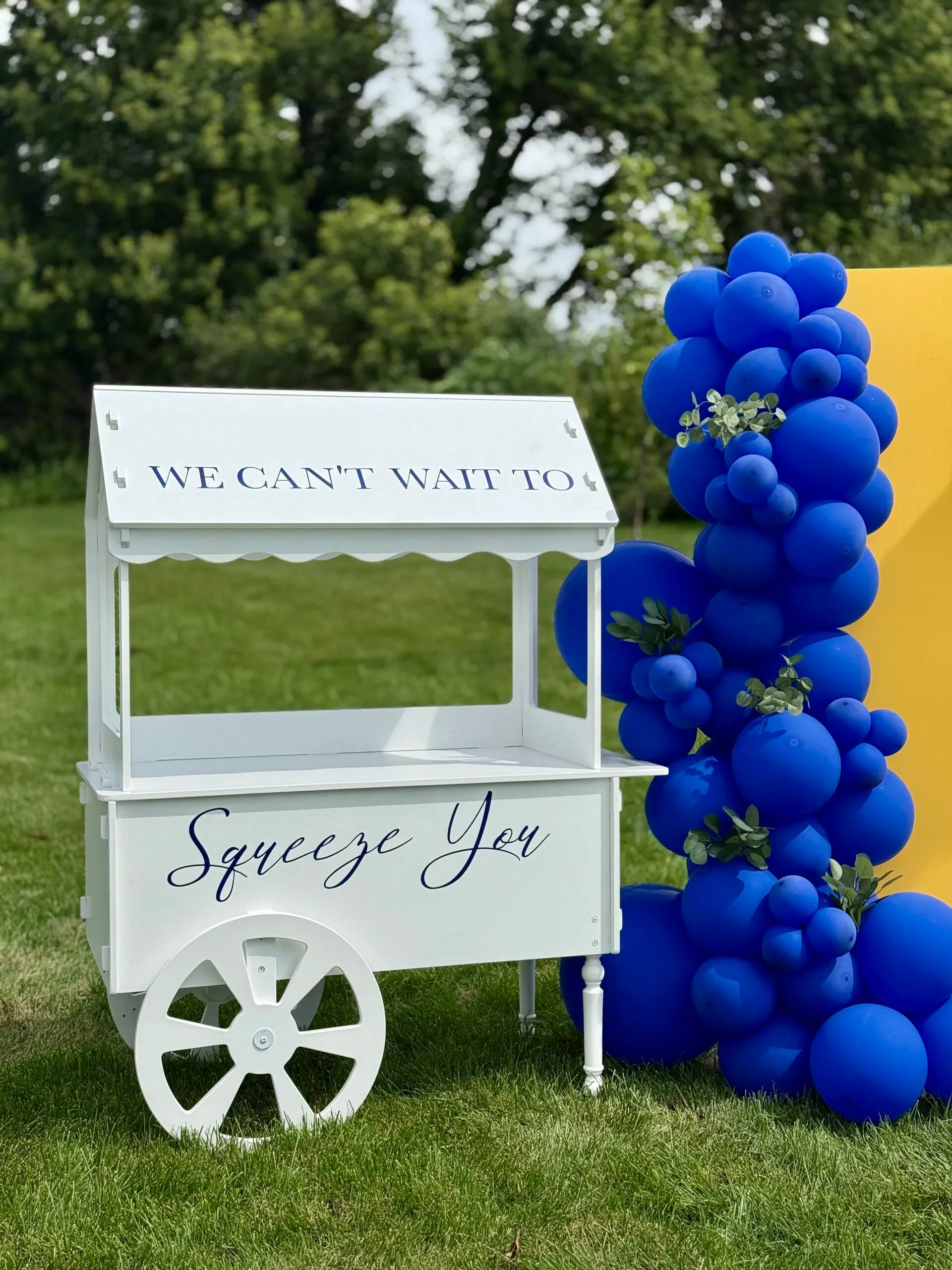 Candy Cart Rental — photo 3