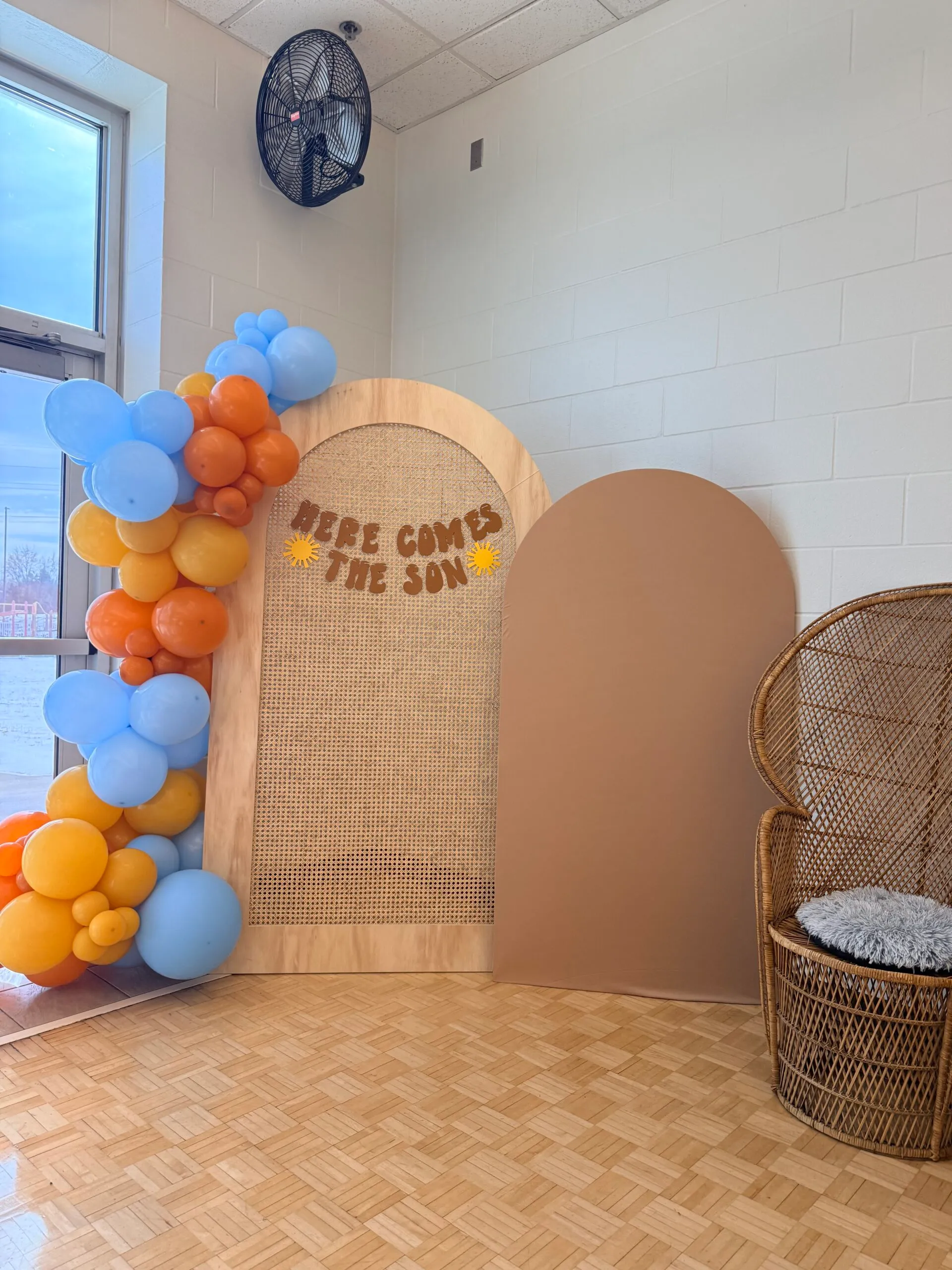 Backdrops — photo 12