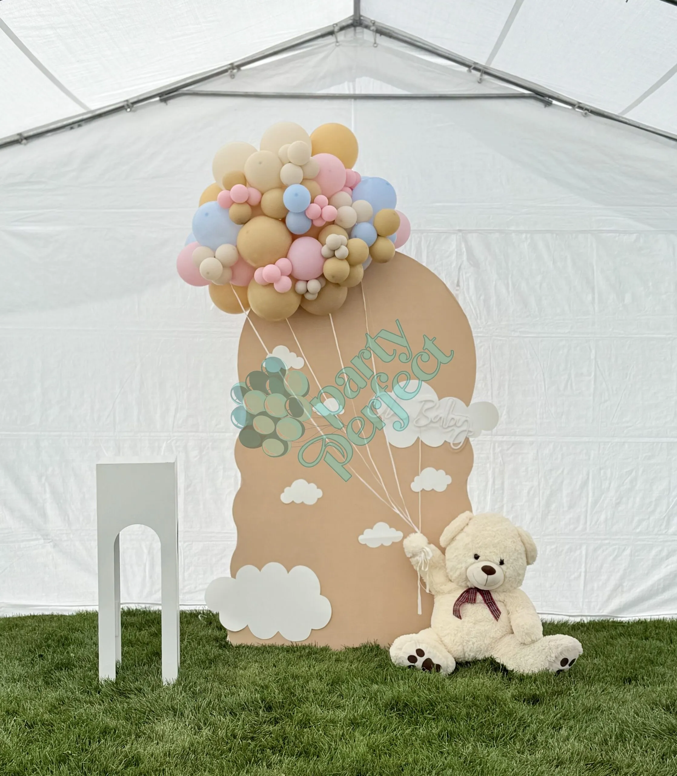 Baby Showers & Gender Reveals — photo 8