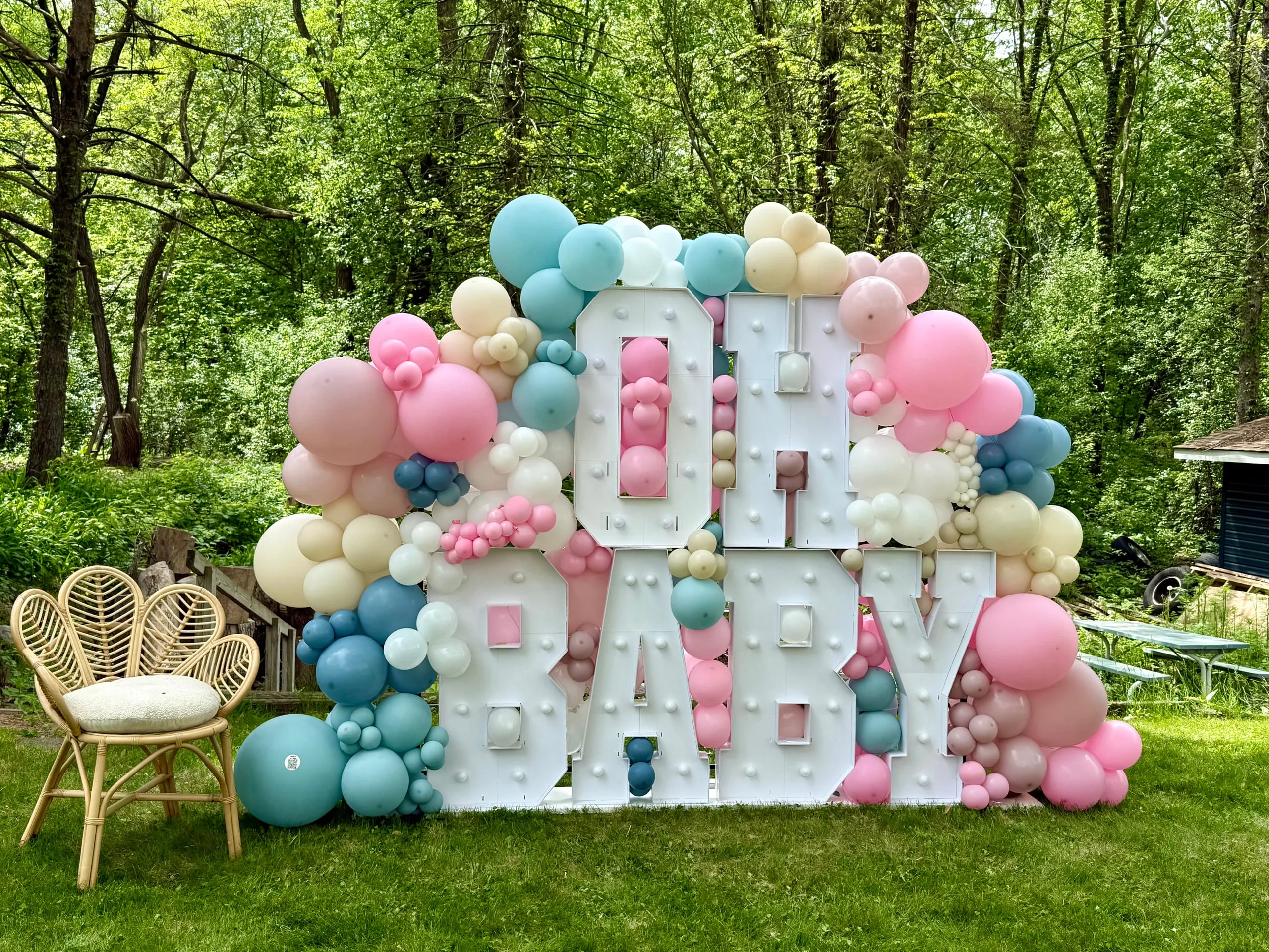Baby Showers & Gender Reveals by Party Perfect MN