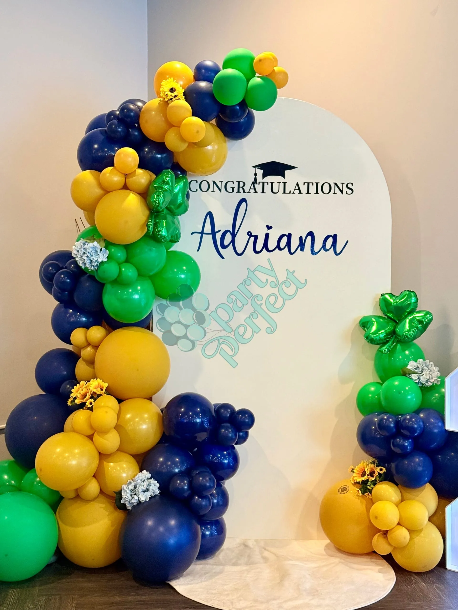 Graduation Party — photo 15